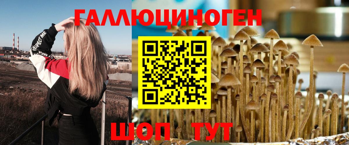 Галлюциногенные грибы MAGIC MUSHROOMS Самара